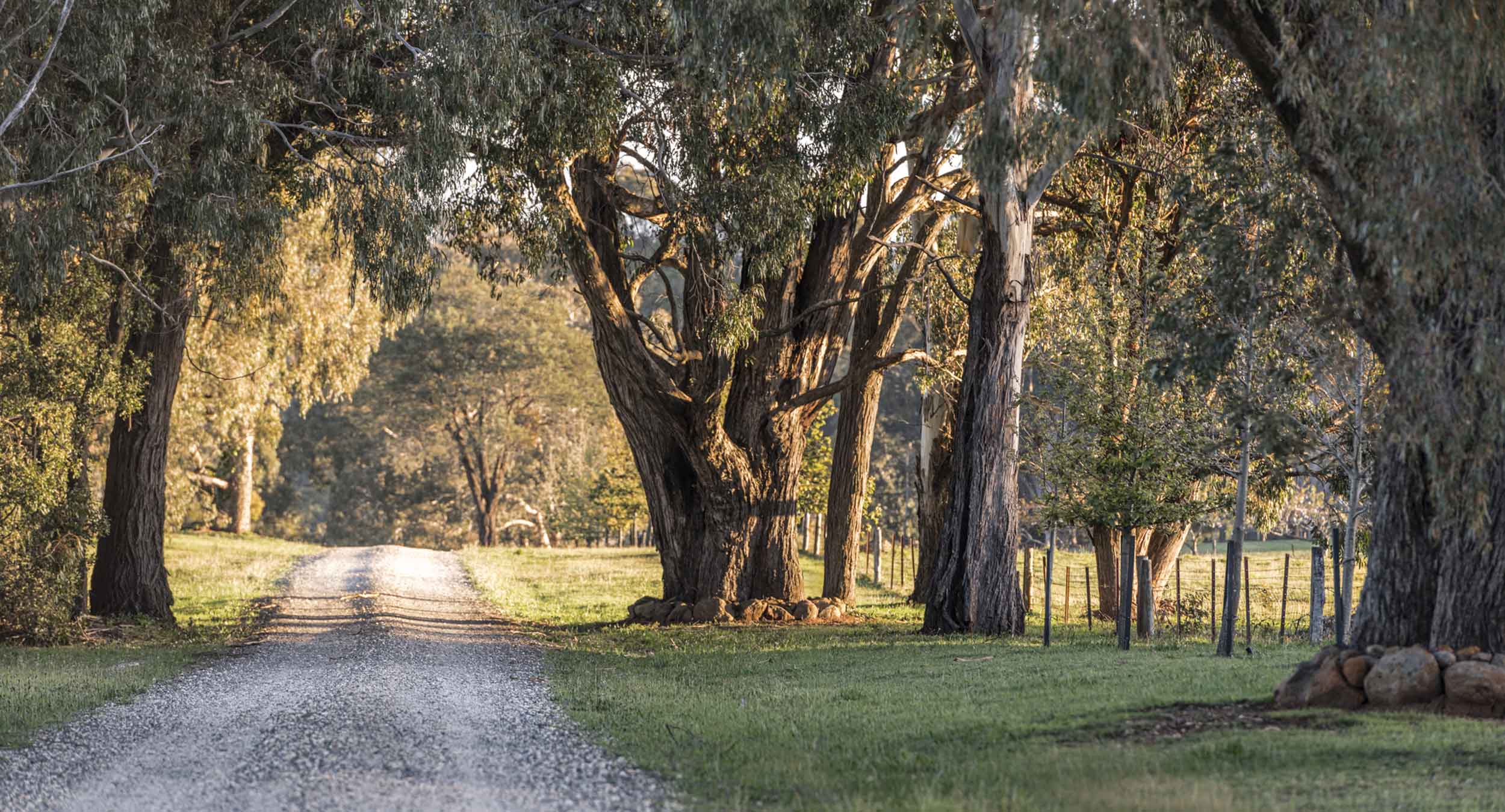 Relational Lives therapy clinic in the Macedon Ranges, Victoria, offering individual and couples therapy